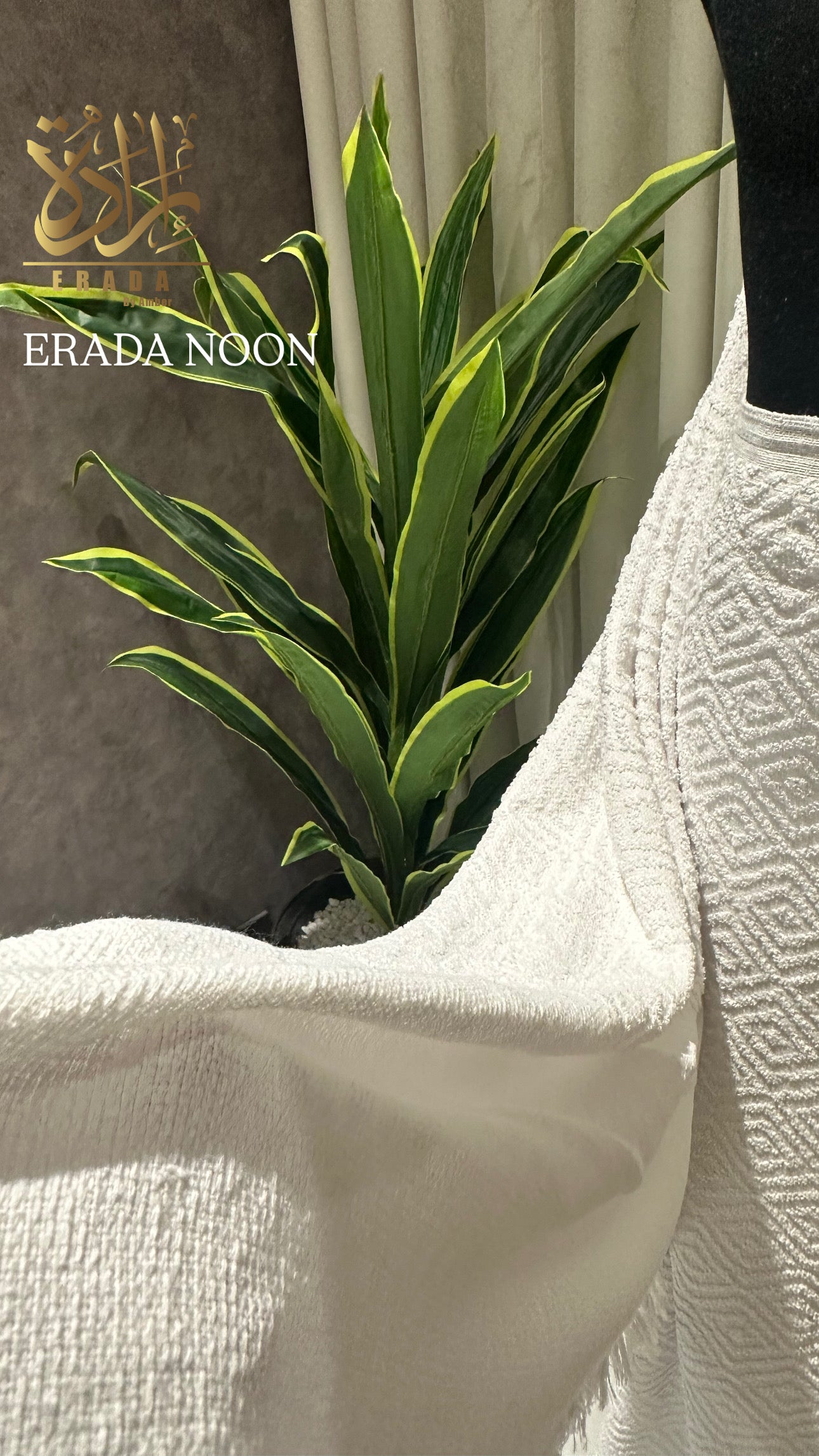 Erada Noon (Adult)
